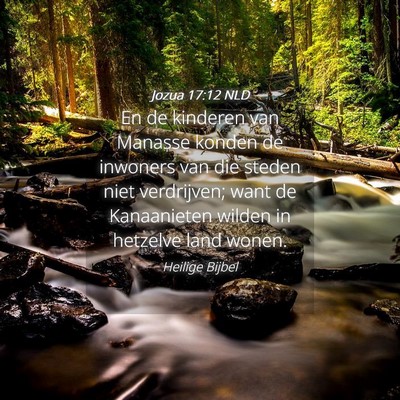 Picture 04 - Jozua 17:12 NLD - En de kinderen van Manasse konden de inwoners van - Bible Verse Picture