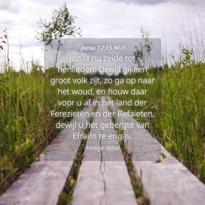 Picture 04 - Jozua 17:15 NLD - Jozua nu zeide tot henlieden: Dewijl gij een - Bible Verse Picture
