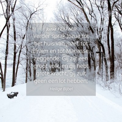 Picture 04 - Jozua 17:17 NLD - Verder sprak Jozua tot het huis van Jozef, tot - Bible Verse Picture