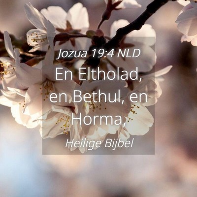 Picture 04 - Jozua 19:4 NLD - En Eltholad, en Bethul, en - Bible Verse Picture