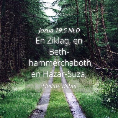 Picture 04 - Jozua 19:5 NLD - En Ziklag, en Beth-hammerchaboth, en - Bible Verse Picture