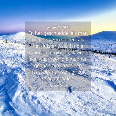 Picture 04 - Jozua 2:5 NLD - En het geschiedde, als men de poort zou sluiten, - Bible Verse Picture