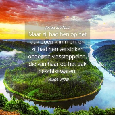 Picture 04 - Jozua 2:6 NLD - Maar zij had hen op het dak doen klimmen, en zij - Bible Verse Picture