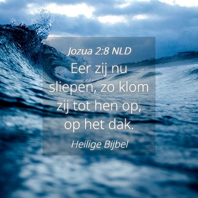 Picture 04 - Jozua 2:8 NLD - Eer zij nu sliepen, zo klom zij tot hen op, op - Bible Verse Picture
