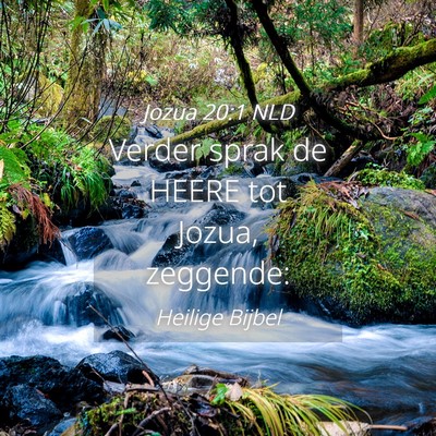 Picture 04 - Jozua 20:1 NLD - Verder sprak de HEERE tot Jozua, - Bible Verse Picture