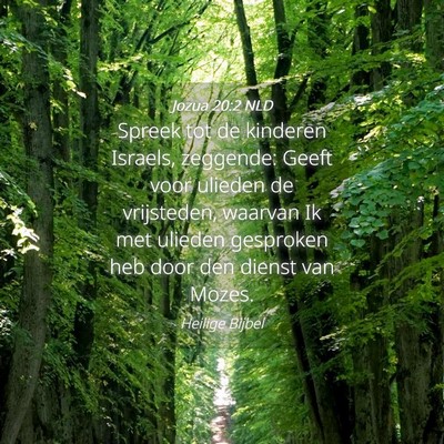 Picture 04 - Jozua 20:2 NLD - Spreek tot de kinderen Israels, zeggende: Geeft - Bible Verse Picture