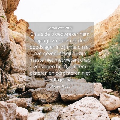 Picture 04 - Jozua 20:5 NLD - En als de bloedwreker hem najaagt, zo zullen zij - Bible Verse Picture