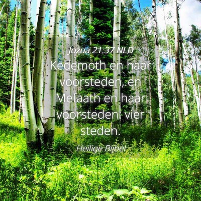 Picture 04 - Jozua 21:37 NLD - Kedemoth en haar voorsteden, en Mefaath en haar - Bible Verse Picture