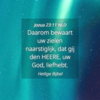 Picture 04 - Jozua 23:11 NLD - Daarom bewaart uw zielen naarstiglijk, dat gij - Bible Verse Picture