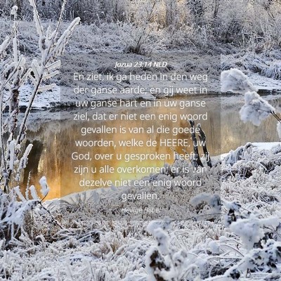 Picture 04 - Jozua 23:14 NLD - En ziet, ik ga heden in den weg der ganse aarde; - Bible Verse Picture