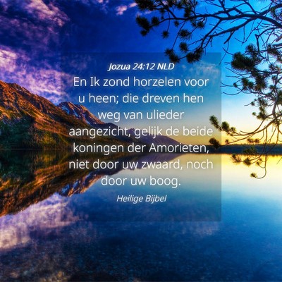 Picture 04 - Jozua 24:12 NLD - En Ik zond horzelen voor u heen; die dreven hen - Bible Verse Picture