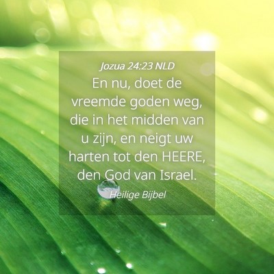 Picture 04 - Jozua 24:23 NLD - En nu, doet de vreemde goden weg, die in het - Bible Verse Picture
