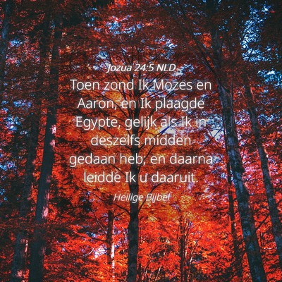 Picture 04 - Jozua 24:5 NLD - Toen zond Ik Mozes en Aaron, en Ik plaagde - Bible Verse Picture