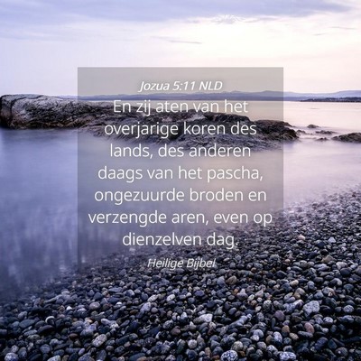 Picture 04 - Jozua 5:11 NLD - En zij aten van het overjarige koren des lands, - Bible Verse Picture