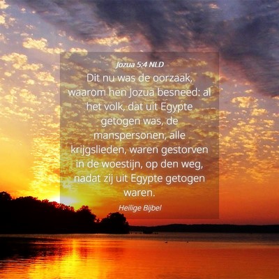 Picture 04 - Jozua 5:4 NLD - Dit nu was de oorzaak, waarom hen Jozua besneed: - Bible Verse Picture