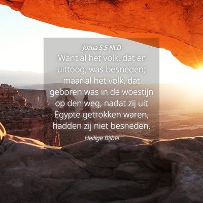 Picture 04 - Jozua 5:5 NLD - Want al het volk, dat er uittoog, was besneden; - Bible Verse Picture