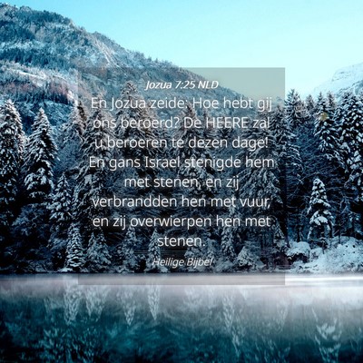 Picture 04 - Jozua 7:25 NLD - En Jozua zeide: Hoe hebt gij ons beroerd? De - Bible Verse Picture