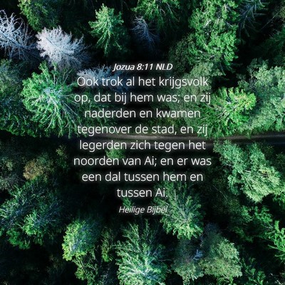 Picture 04 - Jozua 8:11 NLD - Ook trok al het krijgsvolk op, dat bij hem was; - Bible Verse Picture