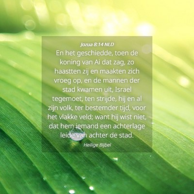 Picture 04 - Jozua 8:14 NLD - En het geschiedde, toen de koning van Ai dat zag, - Bible Verse Picture