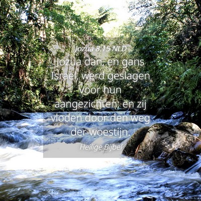 Picture 04 - Jozua 8:15 NLD - Jozua dan, en gans Israel, werd geslagen voor hun - Bible Verse Picture