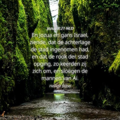Picture 04 - Jozua 8:21 NLD - En Jozua en gans Israel, ziende, dat de - Bible Verse Picture