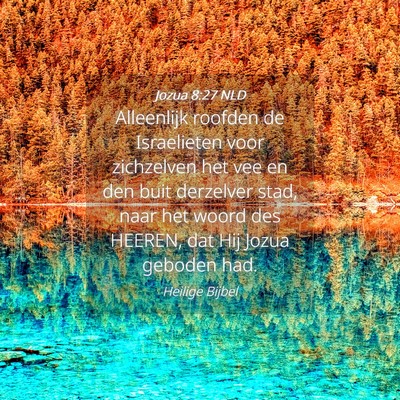 Picture 04 - Jozua 8:27 NLD - Alleenlijk roofden de Israelieten voor zichzelven - Bible Verse Picture