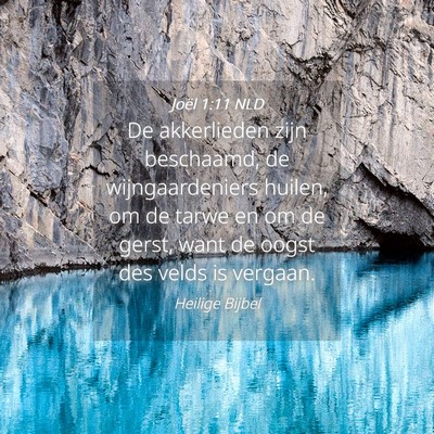 Picture 04 - Joël 1:11 NLD - De akkerlieden zijn beschaamd, de wijngaardeniers - Bible Verse Picture