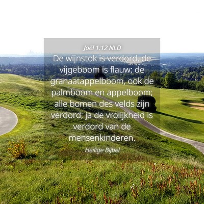 Picture 04 - Joël 1:12 NLD - De wijnstok is verdord, de vijgeboom is flauw; de - Bible Verse Picture