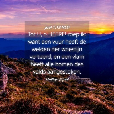 Picture 04 - Joël 1:19 NLD - Tot U, o HEERE! roep ik; want een vuur heeft de - Bible Verse Picture