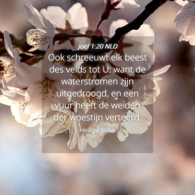 Picture 04 - Joël 1:20 NLD - Ook schreeuwt elk beest des velds tot U; want de - Bible Verse Picture