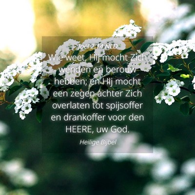 Picture 04 - Joël 2:14 NLD - Wie weet, Hij mocht Zich wenden en berouw hebben; - Bible Verse Picture
