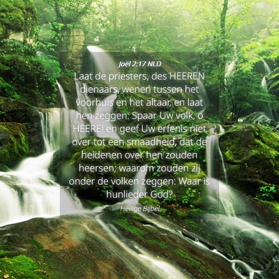 Picture 04 - Joël 2:17 NLD - Laat de priesters, des HEEREN dienaars, wenen - Bible Verse Picture