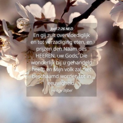 Picture 04 - Joël 2:26 NLD - En gij zult overvloediglijk en tot verzadiging - Bible Verse Picture