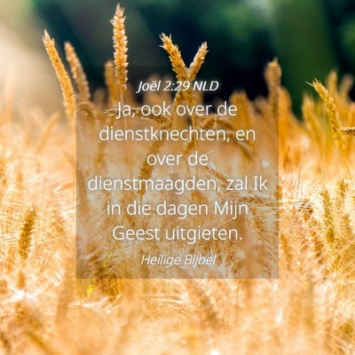 Picture 04 - Joël 2:29 NLD - Ja, ook over de dienstknechten, en over de - Bible Verse Picture