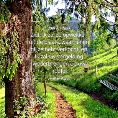 Picture 04 - Joël 3:7 NLD - Ziet, Ik zal ze opwekken uit de plaats, waarhenen - Bible Verse Picture
