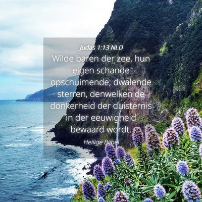 Picture 04 - Judas 1:13 NLD - Wilde baren der zee, hun eigen schande - Bible Verse Picture