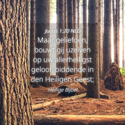 Picture 04 - Judas 1:20 NLD - Maar geliefden, bouwt gij uzelven op uw - Bible Verse Picture
