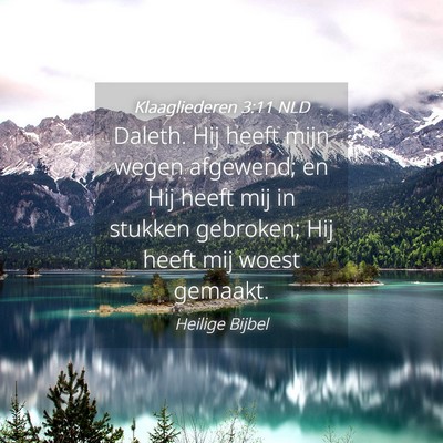 Picture 04 - Klaagliederen 3:11 NLD - Daleth. Hij heeft mijn wegen afgewend; en Hij - Bible Verse Picture