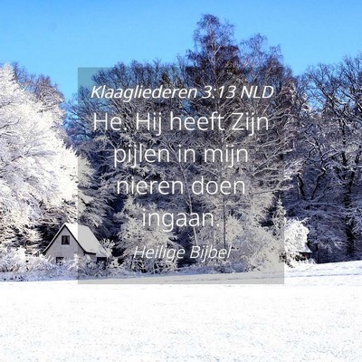 Picture 04 - Klaagliederen 3:13 NLD - He. Hij heeft Zijn pijlen in mijn nieren doen - Bible Verse Picture