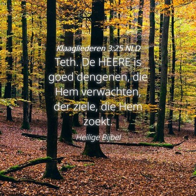 Picture 04 - Klaagliederen 3:25 NLD - Teth. De HEERE is goed dengenen, die Hem - Bible Verse Picture
