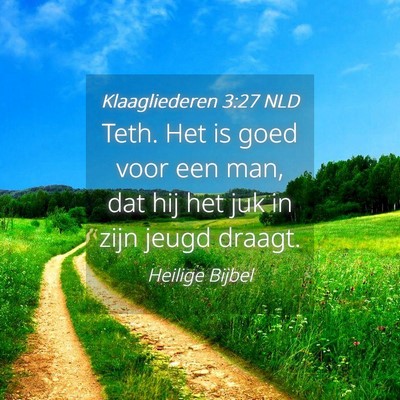 Picture 04 - Klaagliederen 3:27 NLD - Teth. Het is goed voor een man, dat hij het juk - Bible Verse Picture