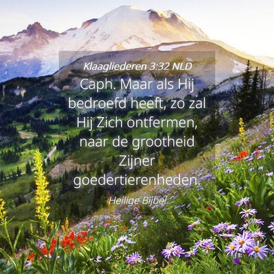 Picture 04 - Klaagliederen 3:32 NLD - Caph. Maar als Hij bedroefd heeft, zo zal Hij - Bible Verse Picture