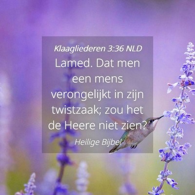 Picture 04 - Klaagliederen 3:36 NLD - Lamed. Dat men een mens verongelijkt in zijn - Bible Verse Picture
