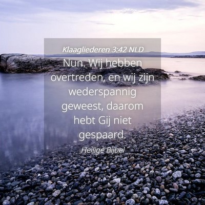 Picture 04 - Klaagliederen 3:42 NLD - Nun. Wij hebben overtreden, en wij zijn - Bible Verse Picture