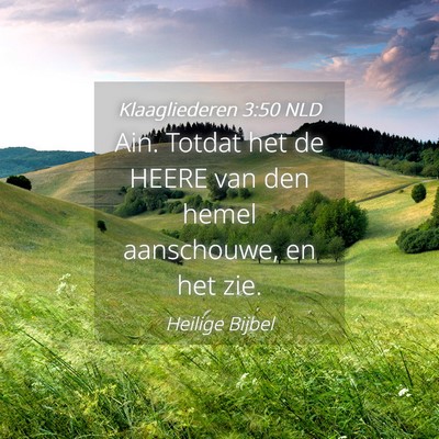 Picture 04 - Klaagliederen 3:50 NLD - Ain. Totdat het de HEERE van den hemel - Bible Verse Picture