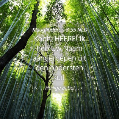 Picture 04 - Klaagliederen 3:55 NLD - Koph. HEERE! Ik heb Uw Naam aangeroepen uit den - Bible Verse Picture
