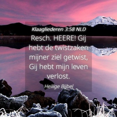 Picture 04 - Klaagliederen 3:58 NLD - Resch. HEERE! Gij hebt de twistzaken mijner ziel - Bible Verse Picture