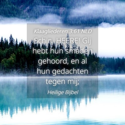 Picture 04 - Klaagliederen 3:61 NLD - Schin. HEERE! Gij hebt hun smaden gehoord, en al - Bible Verse Picture