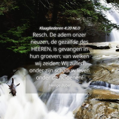 Picture 04 - Klaagliederen 4:20 NLD - Resch. De adem onzer neuzen, de gezalfde des - Bible Verse Picture