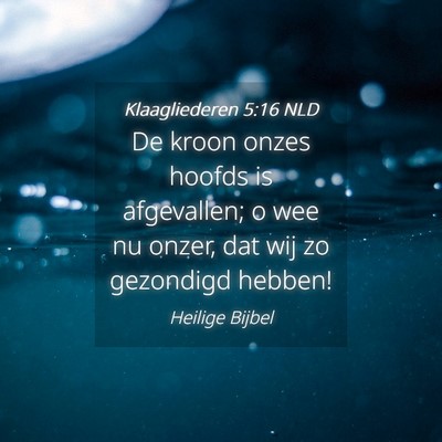 Picture 04 - Klaagliederen 5:16 NLD - De kroon onzes hoofds is afgevallen; o wee nu - Bible Verse Picture